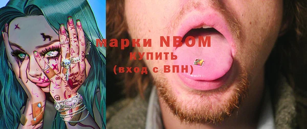 индика Бронницы